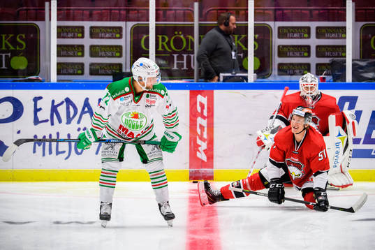 Rögles Daniel Zaar och Malmö Redhawks Emil Sylvegård