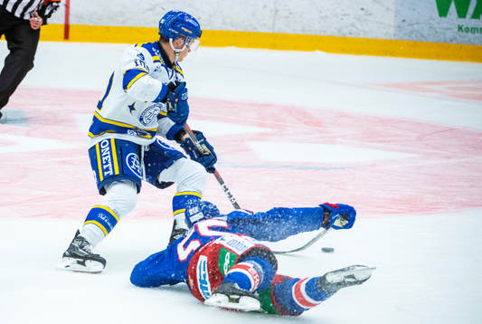 Oskarshamns Johan Alm och Leksands Martin Karlsson