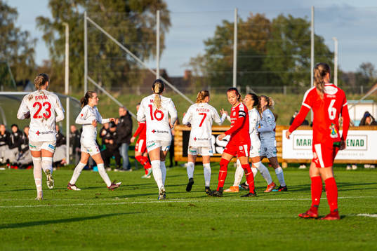 Rosengårds spelare jublar