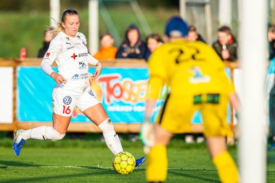 Rosengårds Hailie Mace