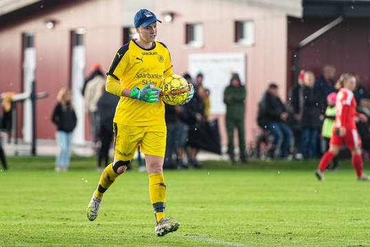 Dösjöbros målvakt Sacha Micha deppar