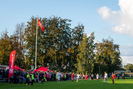 Generell vy över Dösjöbro IP