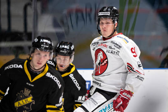 Vita Hästens Linus Andersson  jublar