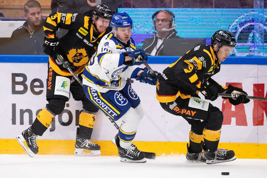 Skellefteås Niclas Burström och Leksands Martin Karlsson