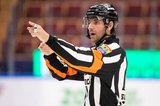 Domare Mikael Sjöqvist