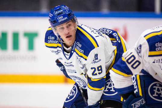 Leksands David Rundqvist