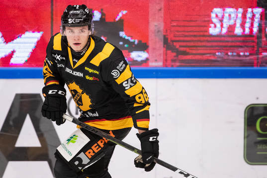 Skellefteås Rickard Hugg