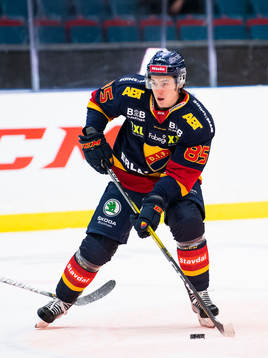 Djurgårdens Michael Haga