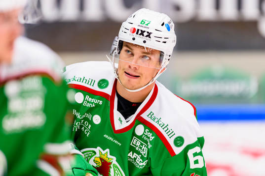 Rögles Leon Bristedt