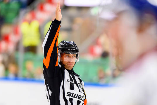 Domare Richard Magnusson