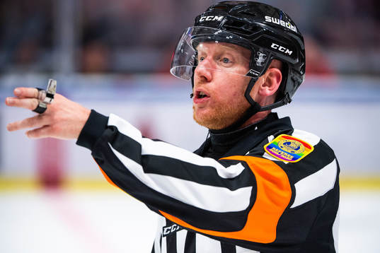 Domare Mikael Holm