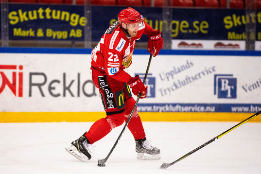 .under ishockeymatchen i Hockeyallsvenskan mellan Almtuna