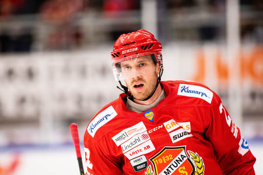 .under ishockeymatchen i Hockeyallsvenskan mellan Almtuna
