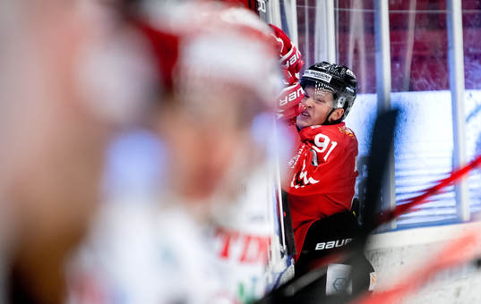 Linus Andersson i Vita Hästen