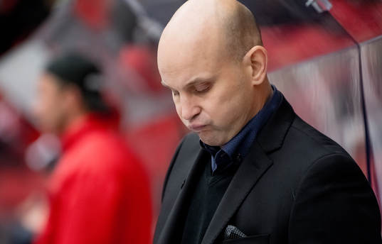 Vita Hästens Tony Zabel tränare