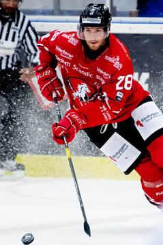 Vita Hästens Istvan Bartalis