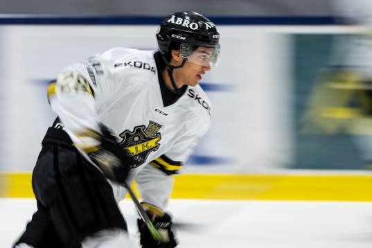 s David Karlström