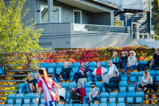 Spectators in the stands