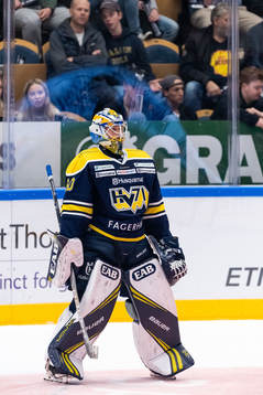 s målvakt Hugo Alnefelt