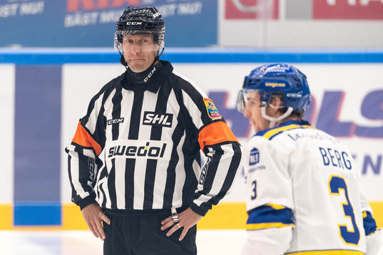 Domare Sören Persson