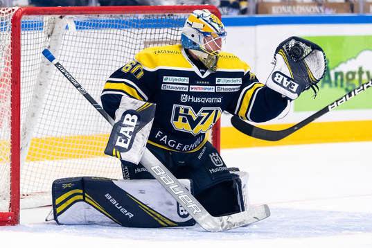 s målvakt Hugo Alnefelt