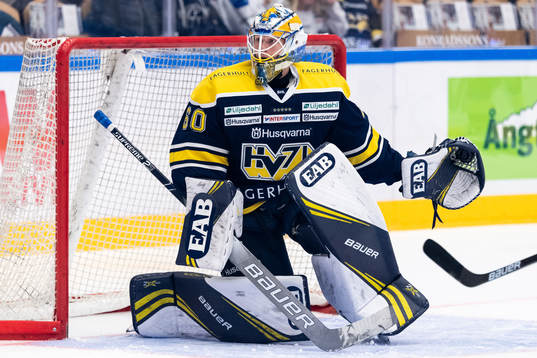 s målvakt Hugo Alnefelt