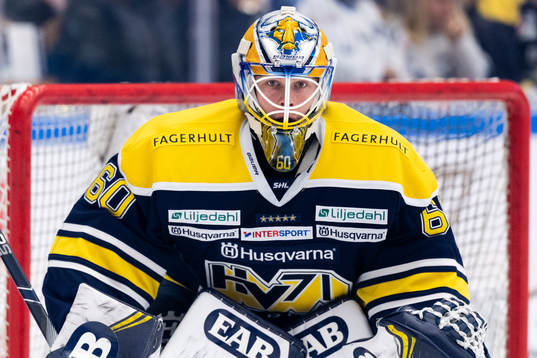 s målvakt Hugo Alnefelt