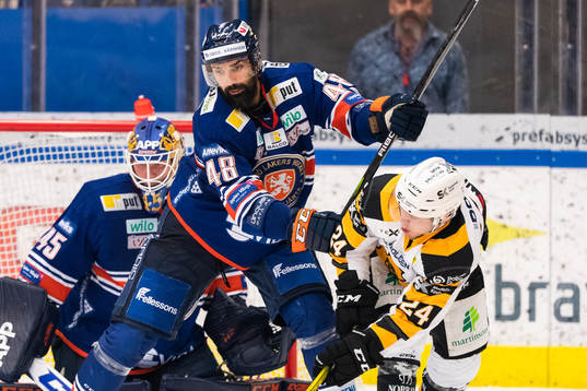 Växjös Daniel Rahimi och Skellefteås Andreas Wingerli