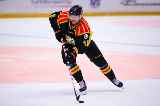 Brynäs Anton Rödin