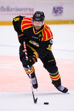 Brynäs Anton Rödin