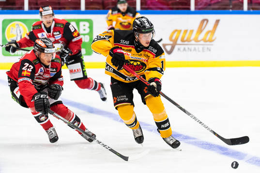  Malmö Redhawks Christoffer Forsberg och Luleås Jonas