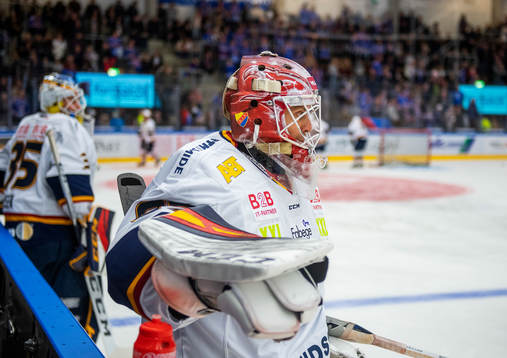 Djurgårdens målvakt Niklas Svedberg