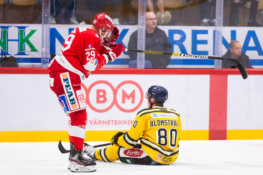 Timrås Morten Madsen och Södertäljes Ludwig Blomstrand