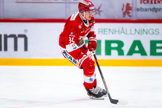 Timrås Sebastian Hartmann