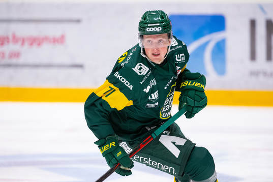 Björklövens Oskar Stål-Lyrenäs