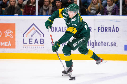 Björklövens Hardy Häman Aktell