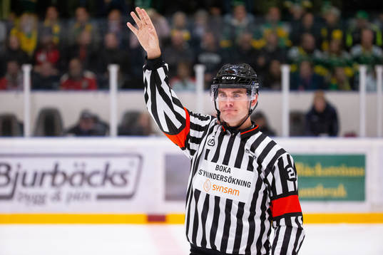 Domare Richard Magnusson