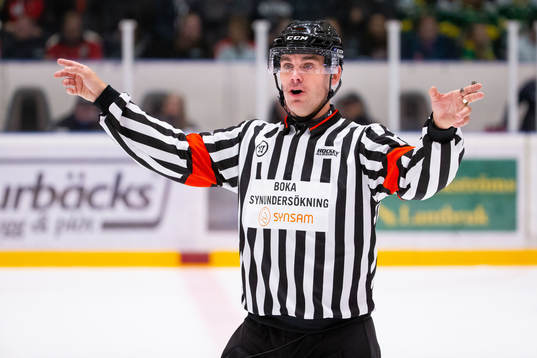 Domare Richard Magnusson