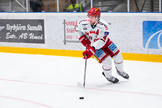 Modos Oscar Hedman