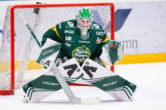 Björklövens målvakt Mattias Pettersson