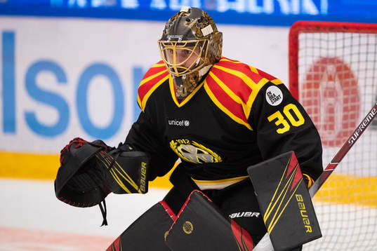 Brynäs målvakt Joacim Eriksson