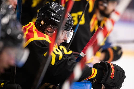 Brynäs Daniel Mannberg deppar