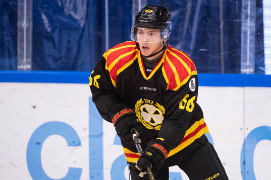 Brynäs Alexander Lindelöf