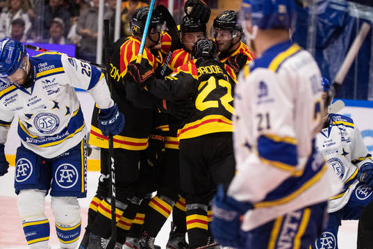 Brynäs spelare jublar