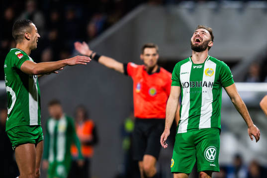 Hammarbys Nikola Djurdjic och Muamer Tankovic jublar