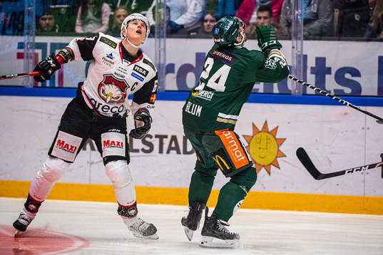 Malmö Redhawks Fredrik Händemark och Färjestads Jonathon