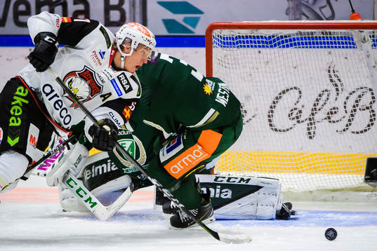 Malmö Redhawks Emil Sylvegård