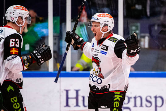 Malmö Redhawks spelare jublar