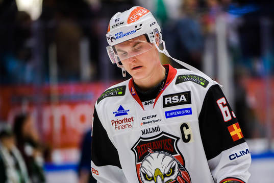 Malmö Redhawks Fredrik Händemark deppar