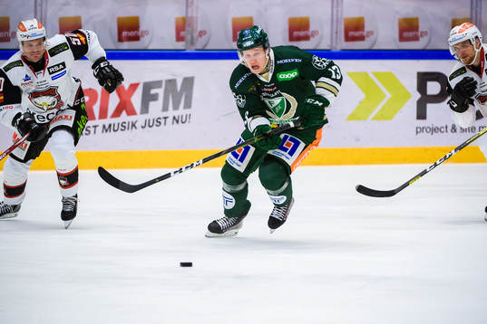 Malmö Redhawks Tobias Ekberg, Färjestads Daniel Viksten